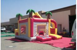 China Inflatable Bouncer / INFLATABLE jump / inflatable palm tree bouncer supplier