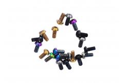 China Motorcycle 6Pcs M5x10 Front Brake Disc Screw Titanium Alloy supplier