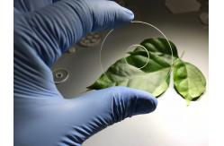 China Circular Transparent Sapphire Optical Windows Quartz Material Customized Diameter supplier