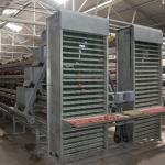 4 Layers 2mm Battery Cage Poultry Egg Collection System ISO9001 Certificated