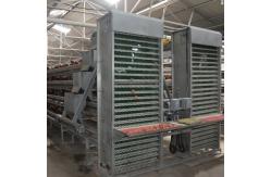 China 4 Layers 2mm Battery Cage Poultry Egg Collection System ISO9001 Certificated supplier