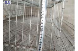 China 6 Tiers Quail Bird Cage PVC Feeder Trough Plastic Water Bowl OEM Service supplier