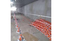 China Portable Galvanized 450kg Chain Feeder System Poultry supplier