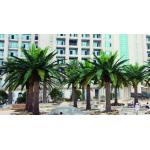 Supplier Height 500cm Artificial Date Palm Tree High Quality Outdoor Tropical Tree