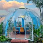 Wooden Carton Outdoor Bubble Tents with PC Polycarbonate + Aluminium Material for sale