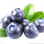 ISO Automatic Fruit Processing Equipment Industrial Blueberry Washing Machine for sale