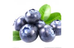 China ISO Automatic Fruit Processing Equipment Industrial Blueberry Washing Machine supplier
