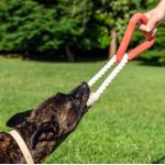 Best Interactive Knotted Rope Triangle Tug Training Toysfor Large Dogs for sale