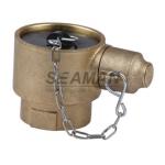 Instanteneous Adapter John Morris Fire Female Hose Coupling INST - BSP With Chain