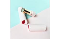 China Customized 3.5g-5g Empty Packaging for Lipstick Tube With Seal Ring supplier