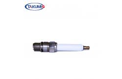 China OEM Generator Spark Plug For Jenbacher J620 Engine supplier