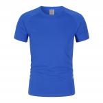 ODM Embroidered 240gsm Round Neck T Shirt Polyester Blank Blue Plain T Shirts for sale