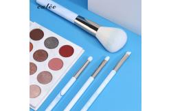 China 4pcs Travel Make Up Brushes Plastic Handle Cosmetic Brush With PVC Packaging Box supplier