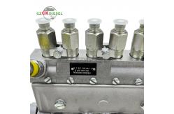 China Fuel Injection Pump 9400085380 3927763 for 6B5.9 Engine supplier