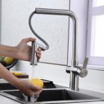 Brushed Nickel Single Hole Pull Out Kitchen Faucet Switchable Two Function Sprayhead