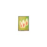 C068SWR5-0 6.8 inch lcd screen panel 720*1600 lcd display module for sale