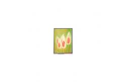 China C068SWR5-0 6.8 inch lcd screen panel 720*1600 lcd display module supplier