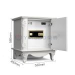 Thickened Bolts Smart Safe Box Biometric Fingerprint Lock YB/NS-58 for sale