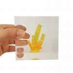 Transparent resin cube brick paperweight with Coral inside for sale
