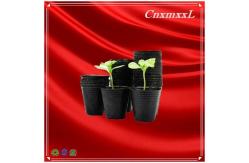 China HQ Nutrition PE 1L Propagation Black Nursery Pots With Drainage Holes supplier