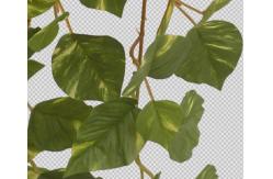 China All Season 5pcs 80cm Height Artificial Vine Plant With 88pcs Leaves supplier