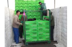 China Agricultural Plastic Collapsible Storage Crate Customized 600*400 Mm supplier
