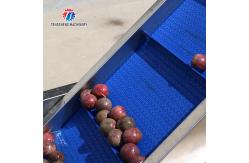 China Kiwi Carrot Taro Vegetable Brush Bubble Cleaning Machine 2.5KW supplier
