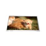 B116AW02 V0 11.6 inch Laptop LCD Screen Display Panel for sale