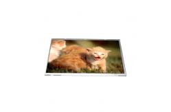China B116AW02 V0 11.6 inch Laptop LCD Screen Display Panel supplier