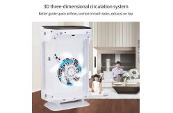 China Homefish Fast Dispatch OEM Air Scent Diffuser Anion Air Purifier CFM 99% supplier