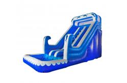 China Aldult  Outdoor Rental Inflatable Large Water Slides With Bouncy supplier
