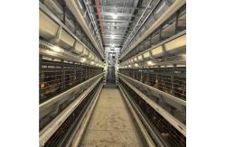 China Layer Chicken Cage The Optimal Solution for Modern and Profitable Poultry Farming supplier