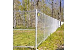 China 8 Foot Hot Dipped Galvanized Chain Link Fence Panels For Boundary Wall supplier