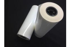 China Translucent White Hot Melt Adhesive Sheets 100 Yards / Roll For Fabric Bonding supplier