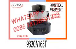 China High Quality Diesel Fuel Injection Pump DPA Head Rotor  For 9320A163T supplier