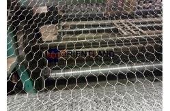 China Galvanized Steel Poultry Mesh Netting 1-500m Per Roll Erosion Resistant supplier