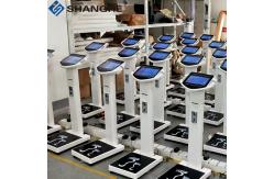 China Smart Digital Measuring Adult RS232 Body Fat Analyzer Scale supplier