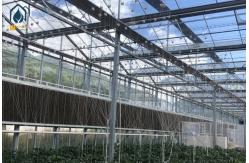 China Hydroponic Transparent Glass Greenhouse For Plants With Ventilation Cooling System supplier