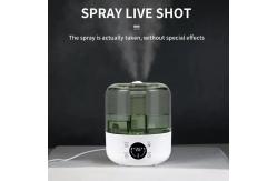 China Quiet Large Capacity Desktop Humidifier For Home And Office With Aromatherapy supplier