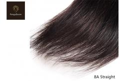 China 10inch 8A Straight Hair Bundles With Closure supplier