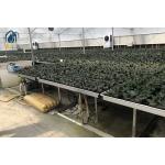 Agricultural Seedling Plastic Nursery Tray Rolling Bench Mesh Mobile Tables Grow Tray for sale