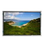VVX31P163H01 31.0 inch WLED 350 cd/m2 LCD Display Screen Panel for sale