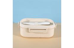 China 20.2cm Plastic Bento Boxes supplier