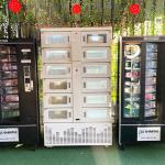 Winnsen Refrigerated Parcel Lockers Customization With Remote for sale