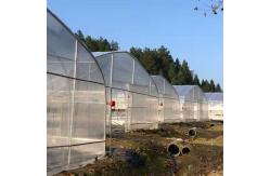 China High Tunnel Plastic Film Single-Span Greenhouse Poly Tunnel 8m For Vegetable supplier