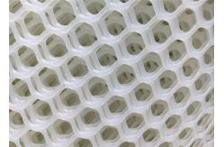 China 100m Hexagonal Steel Fence Stainless Welded Wire Mesh LDPE HDPE Plastic supplier