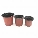 wholesale Two-color plastic flower pot for Orchid seeds for sale