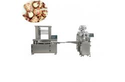 China Automatic panda cookie wire cut cookie machine supplier