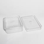 Custom PS PET Material Transparent Plastic Biscuit Container Box FDA