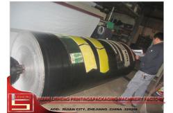 China High Speed Multicolour Web Flexo Printing Machines for PP Woven Bags supplier